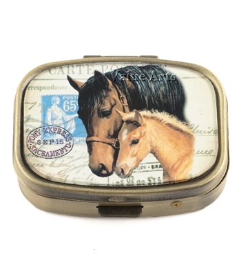 horse pill box