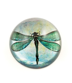 Green Dragonfly Crystal Dome Paperweight