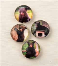 black bear magnet