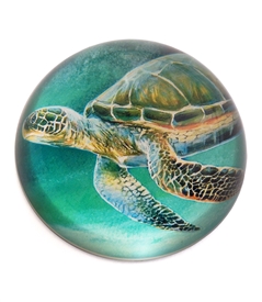 Green Sea Turtle Crystal Dome Paper Weight