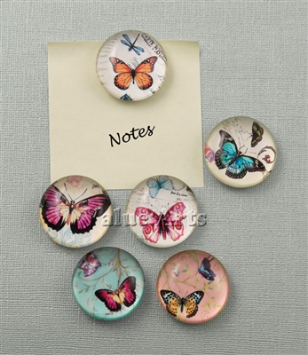 butterfly magnet