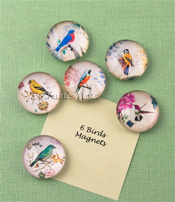 bird magnet