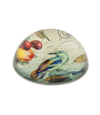 Bird / Dome Crystal Paperweight