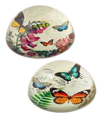 Butterfly / Dome Crystal Paperweight