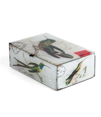 humming bird box
