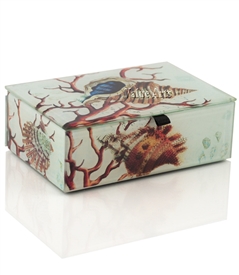 Seashell  Treasure Box