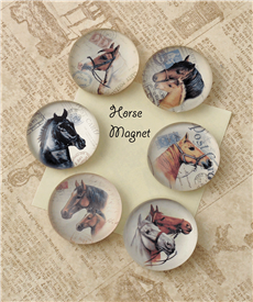 horse magnet