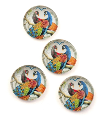 Blue Peacock Magnet / Set of 4