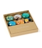Vincent van Gogh's Oil Painting Magnet/Set of 6