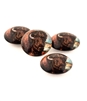 Bison Set of 4 Crystal Glass Magnet