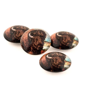 Bison Set of 4 Crystal Glass Magnet