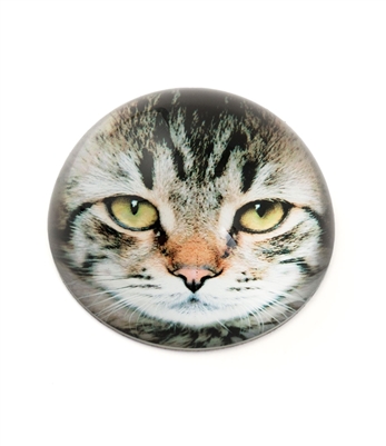 Vintage Cat  Crystal Dome Paperweight