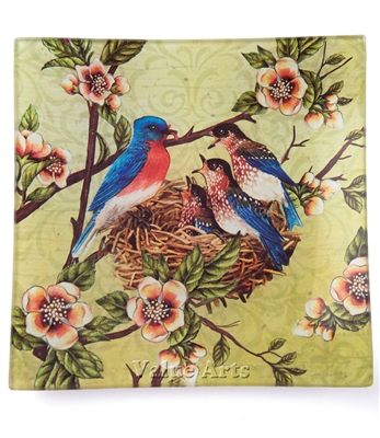 bird dish