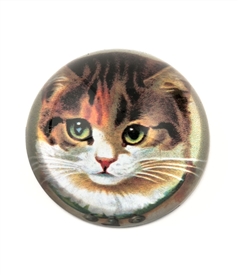 Vintage Cat  Crystal Dome Paperweight