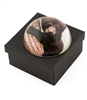 black bear paper weight