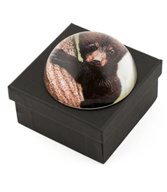 black bear paper weight