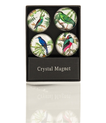 Tropical Birds Magnet