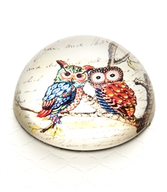 Vintage Owl on Branch Crystal Dome Paperweight
