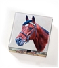 Horse Keepsake Box