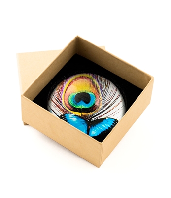 Blue Butterfly/feather Paperweight